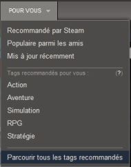 Les tags Steam pour vous